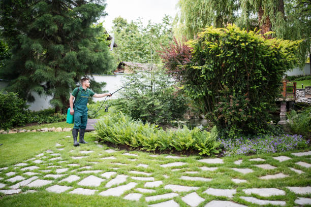 Best Pest Control for Lawns  in Shiner, TX