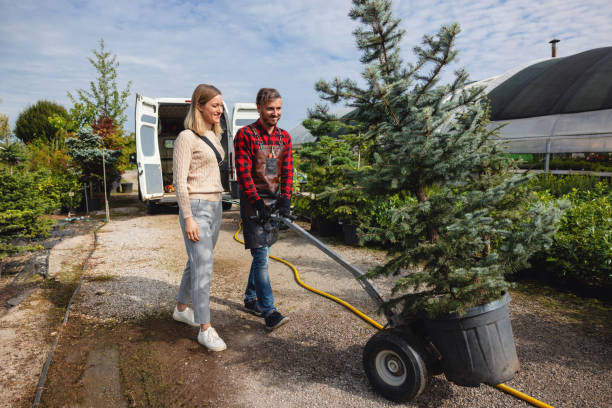 Best Leaf Removal  in Shiner, TX